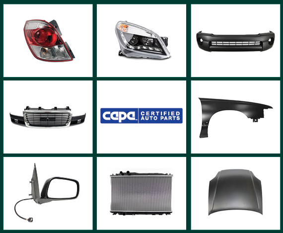 Catalog Back